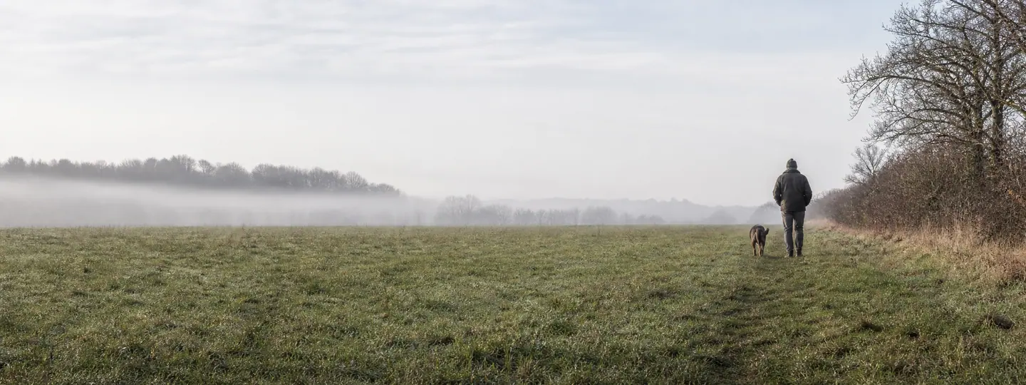 Personne et chien marchant dans une prairie brumeuse